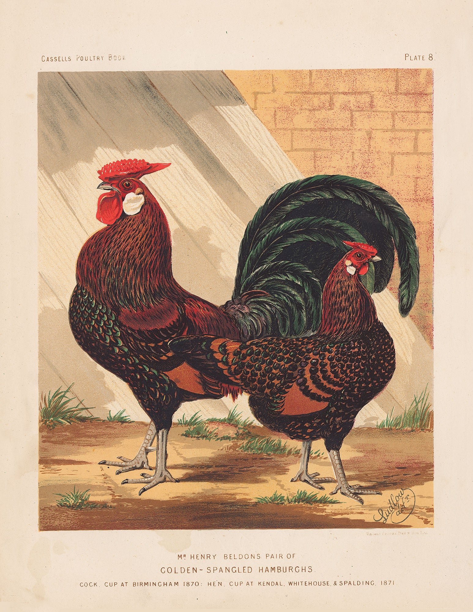 Cassells Poultry Book (Series)