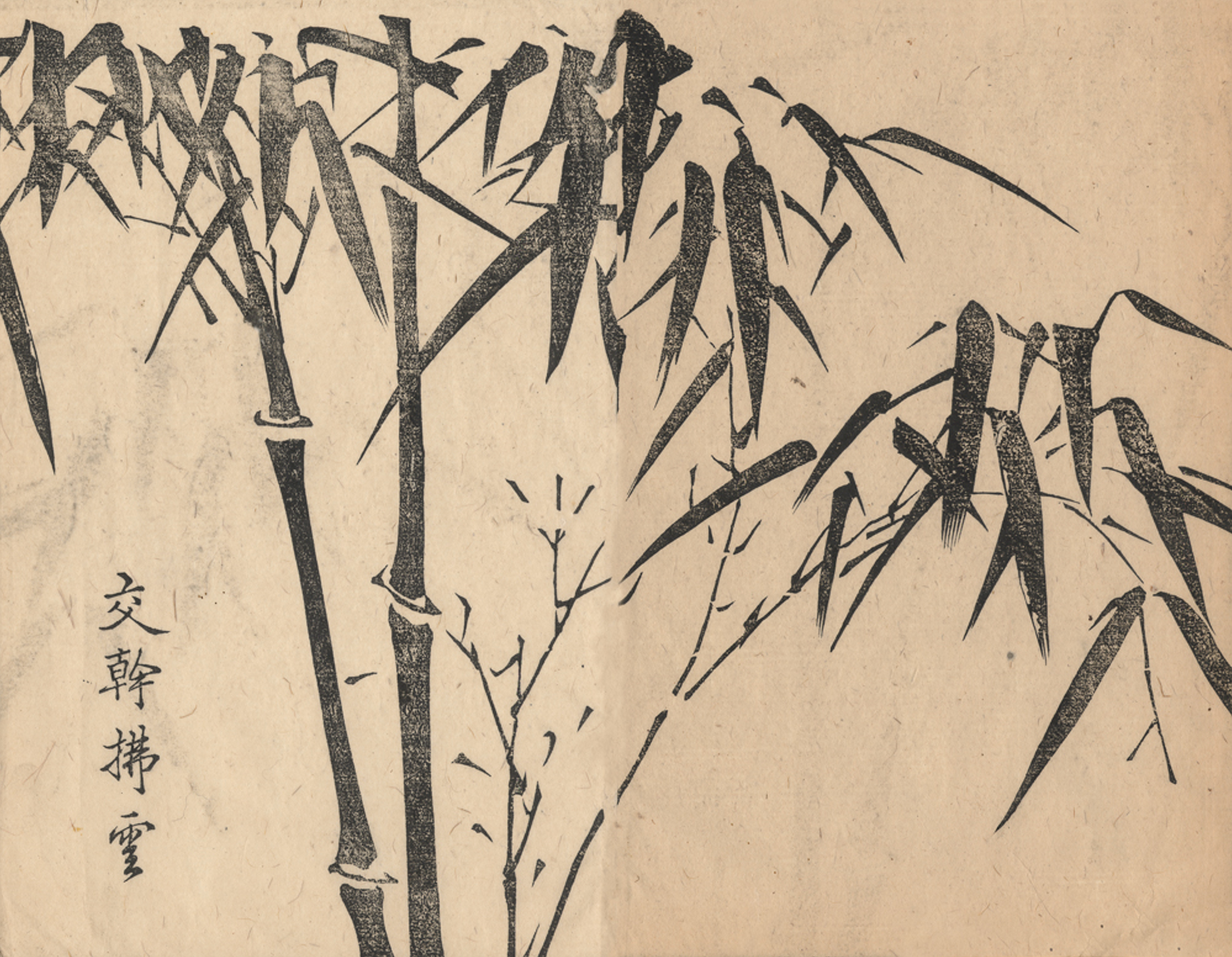 Bamboo II