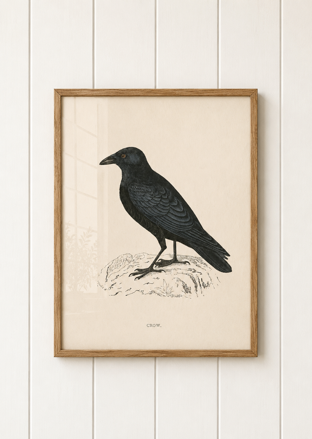 Crow