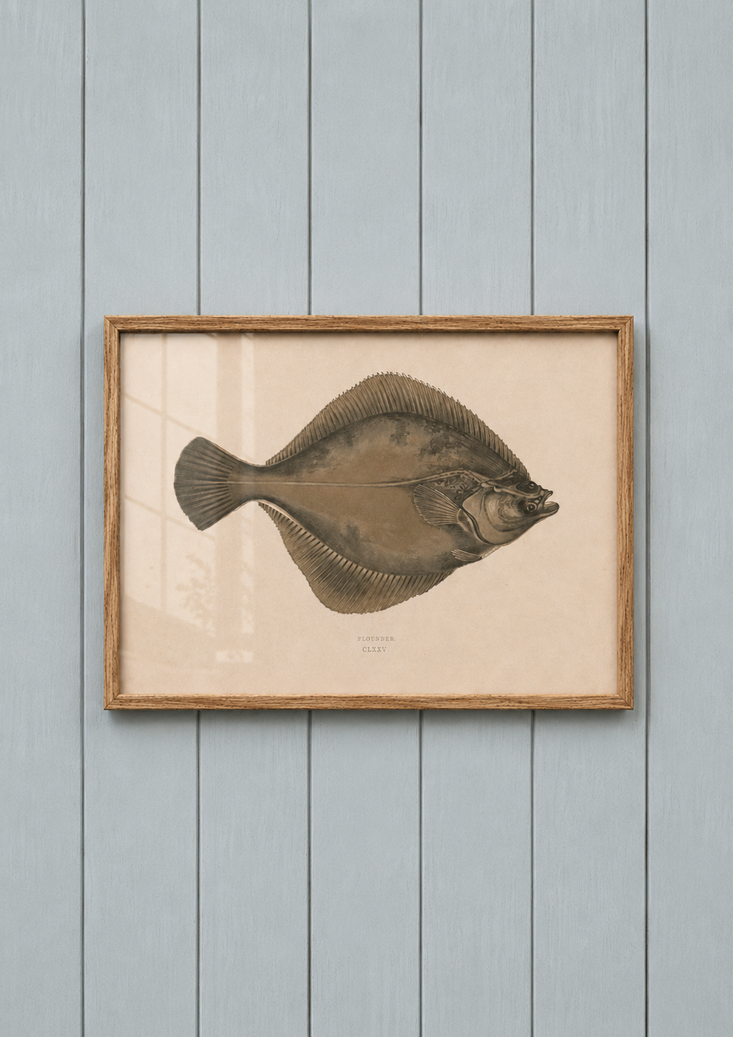 Flounder