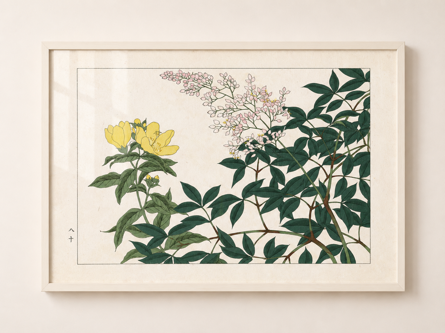 Summer Flowers