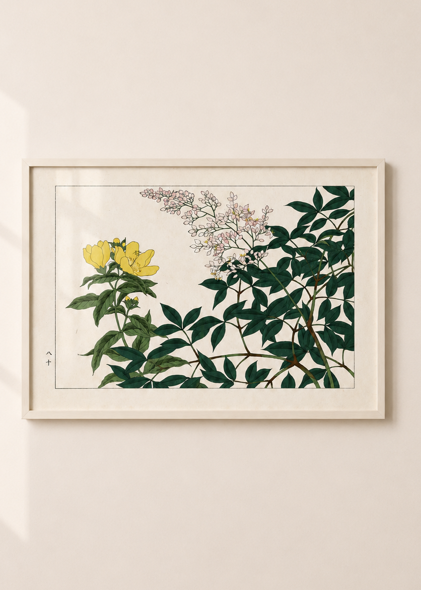 Summer Flowers