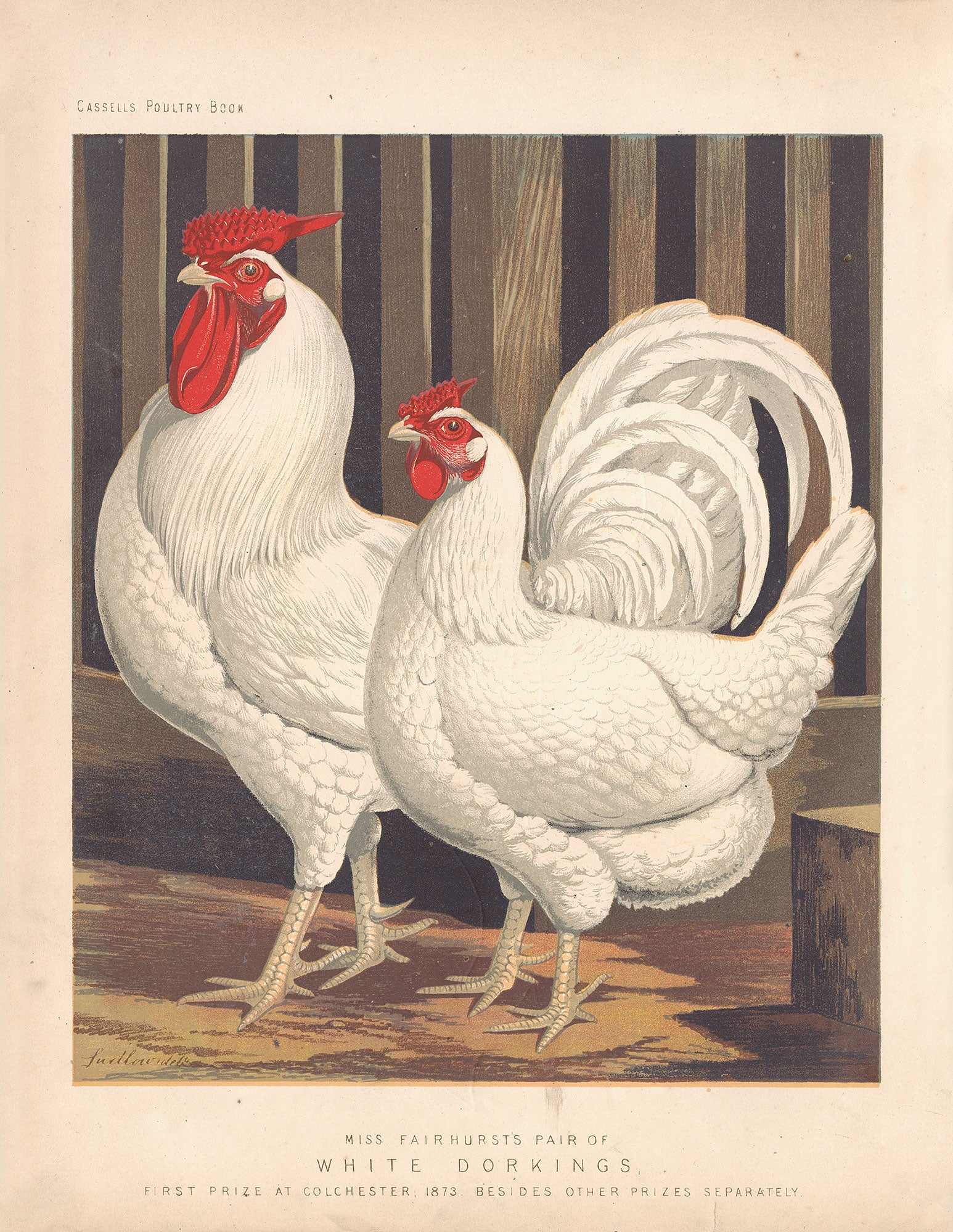 Cassells Poultry Book (Series)