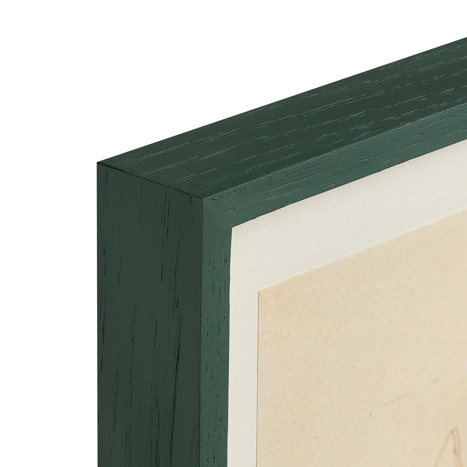 Un Disegno e un Idea