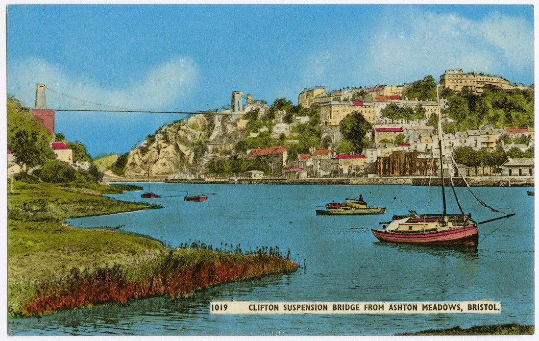 View from Ashton Meadows