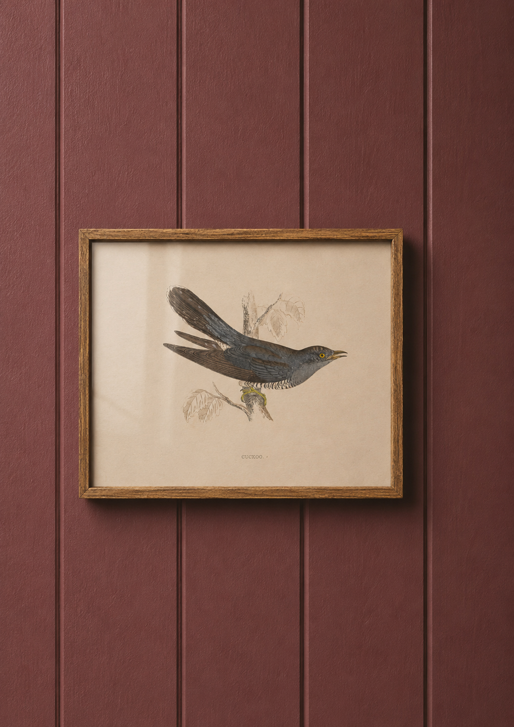 Cuckoo
