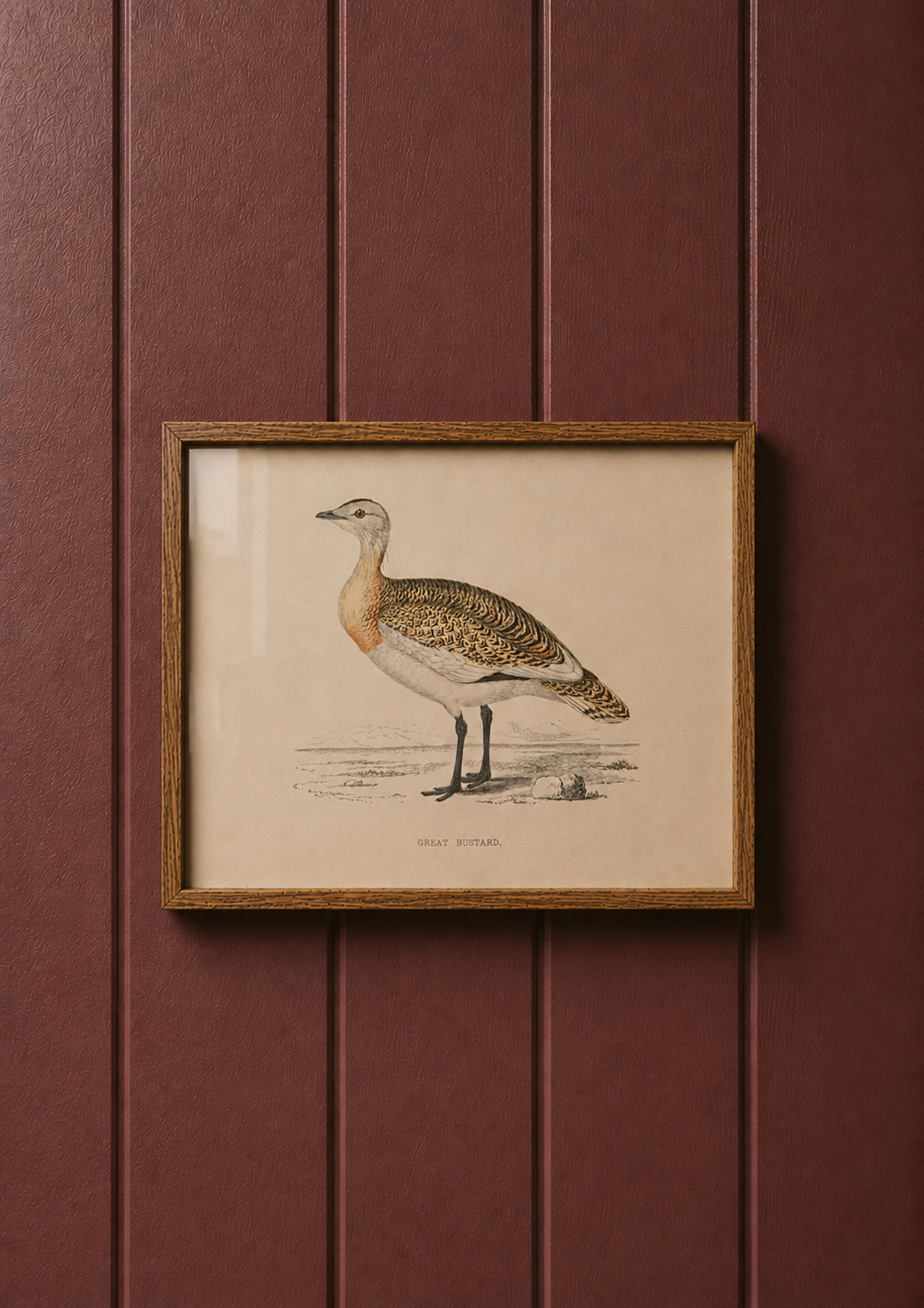 Great Bustard